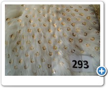 collection 8 Paillettes 293